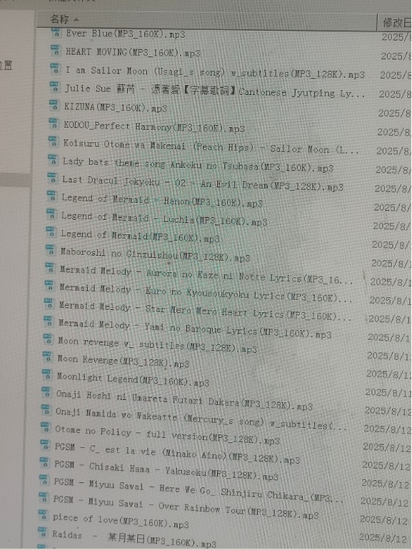 204mp3s.jpg